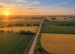 Vista aérea de campos cultivados divididos por un camino de tierra en la llanura pampeana.