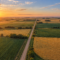 Vista aérea de campos cultivados divididos por un camino de tierra en la llanura pampeana.