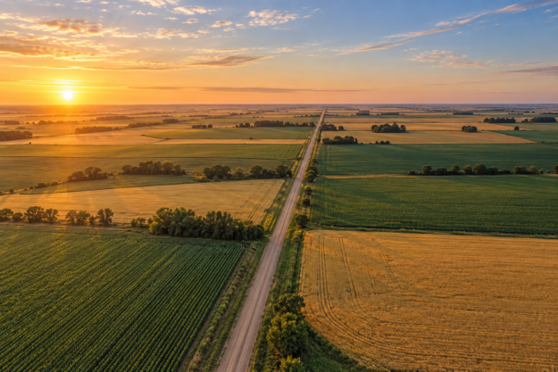 Amanecer sobre campos agrícolas Vista aérea de campos cultivados divididos por un camino de tierra en la llanura pampeana.