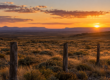 Alambrado de postes de madera atravesando un campo abierto de la Patagonia al atardecer