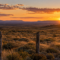 Alambrado de postes de madera atravesando un campo abierto de la Patagonia al atardecer